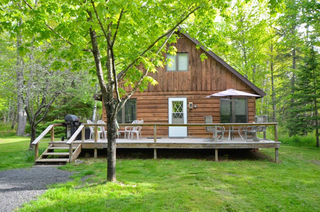 Woodland Escape | Charming Cabin Steps to the Lake Main Image